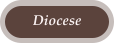 Diocese